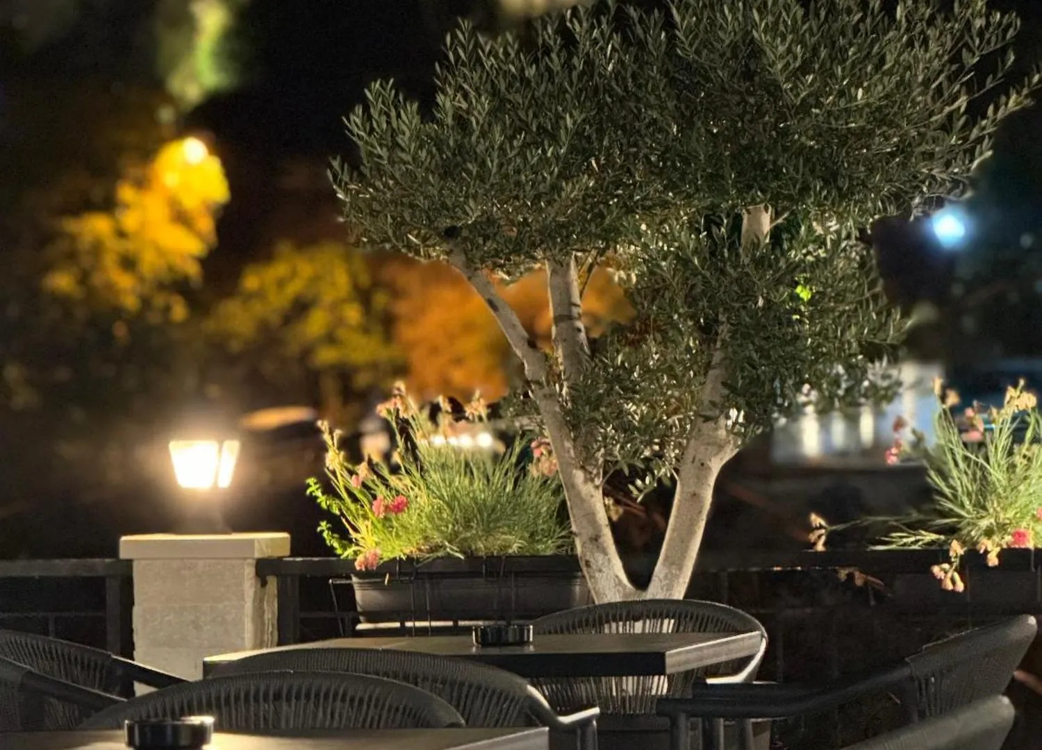 Castle Hotel Gjirokastër Albânia